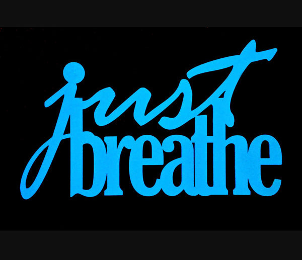 The Bas Rutten O2 Lung Trainer- Devin Castille Review